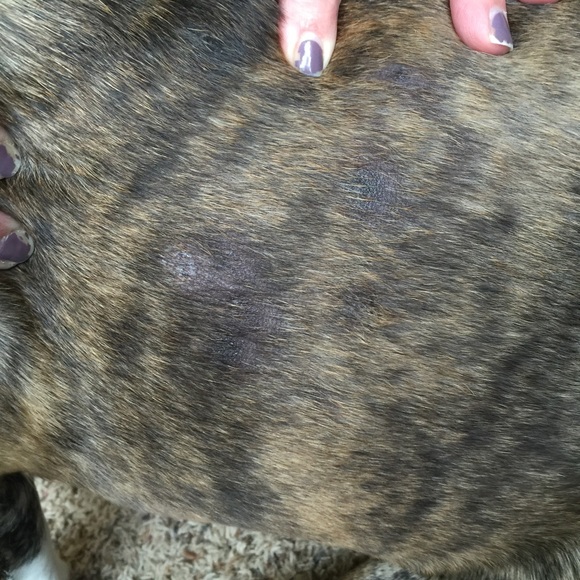 Meet your Posher, Susan - Picture 1 of 1