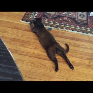 Meet your Posher, Donna