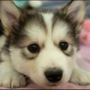 Meet your Posher, Mary