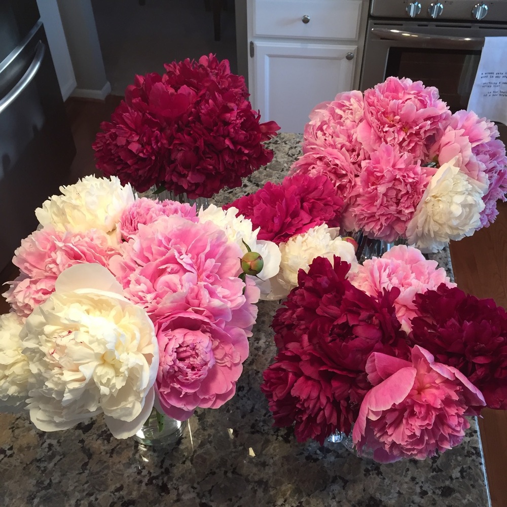 Meet your Posher, Stephanie