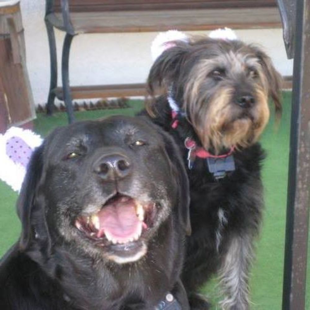 Meet your Posher, Brenda