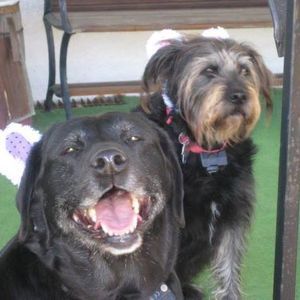 Meet your Posher, Brenda