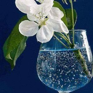 Meet your Posher, Lili