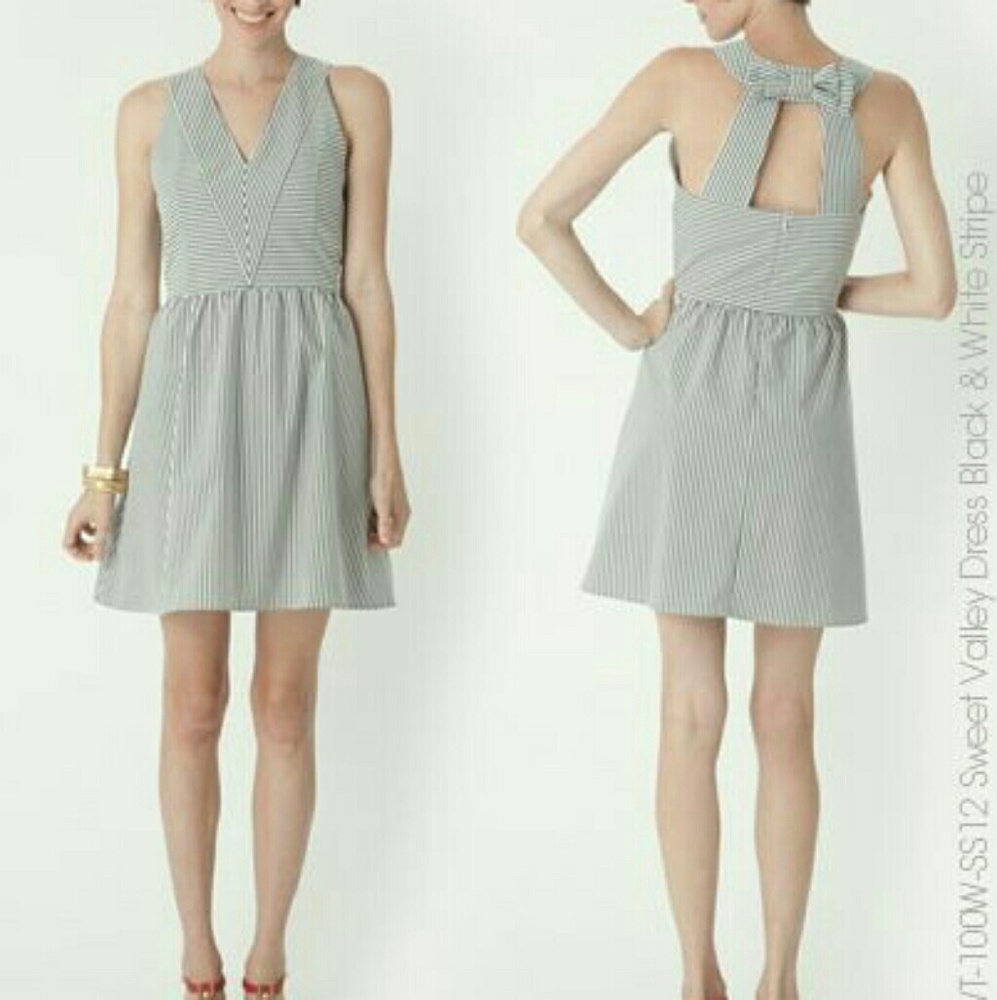 Dear Creatures Sweet Valley dress large NWT