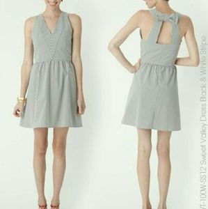 Dear Creatures Sweet Valley dress large NWT