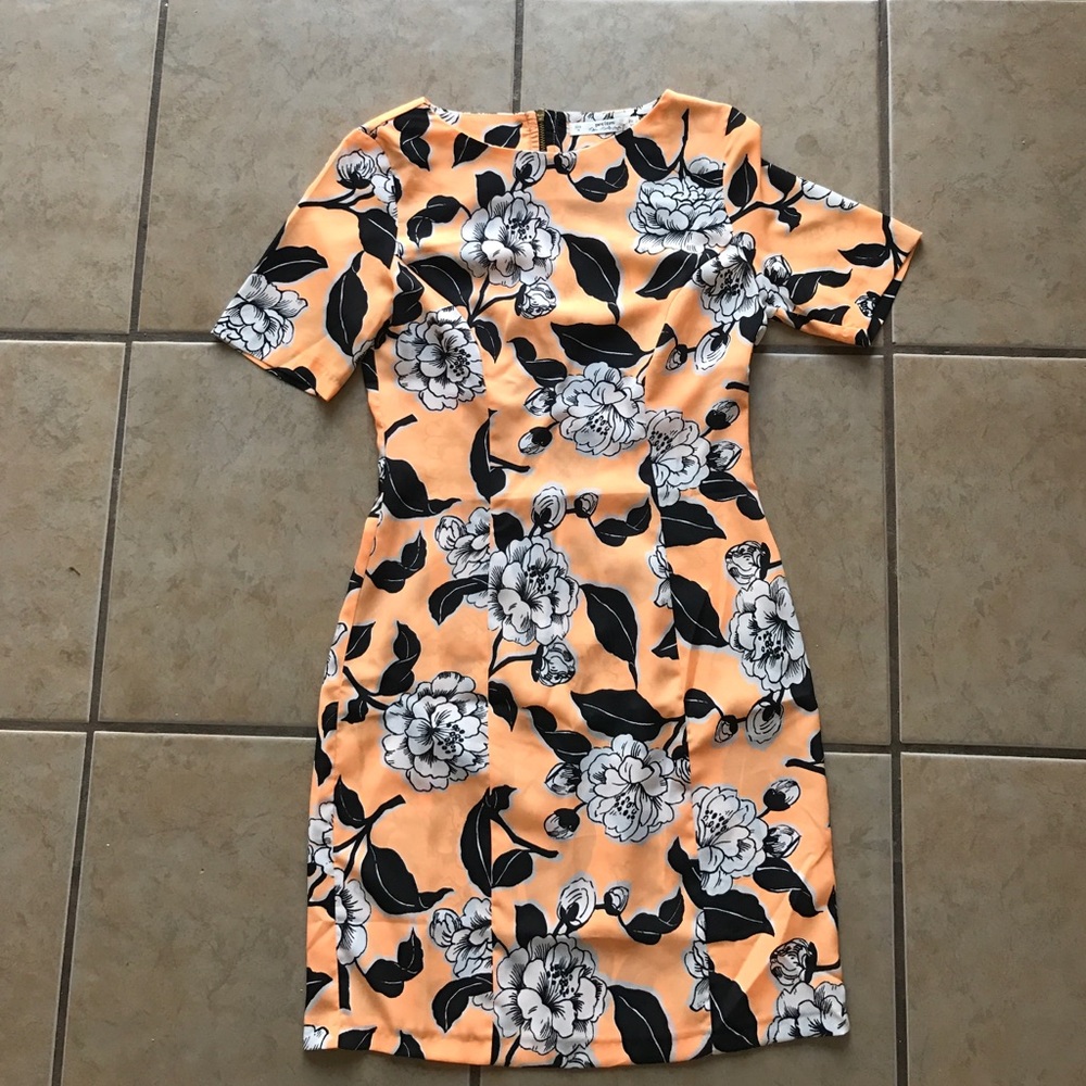 BRAND NEW PETITE MISS SELFRIDGE SUNDAY DRESS IN XS