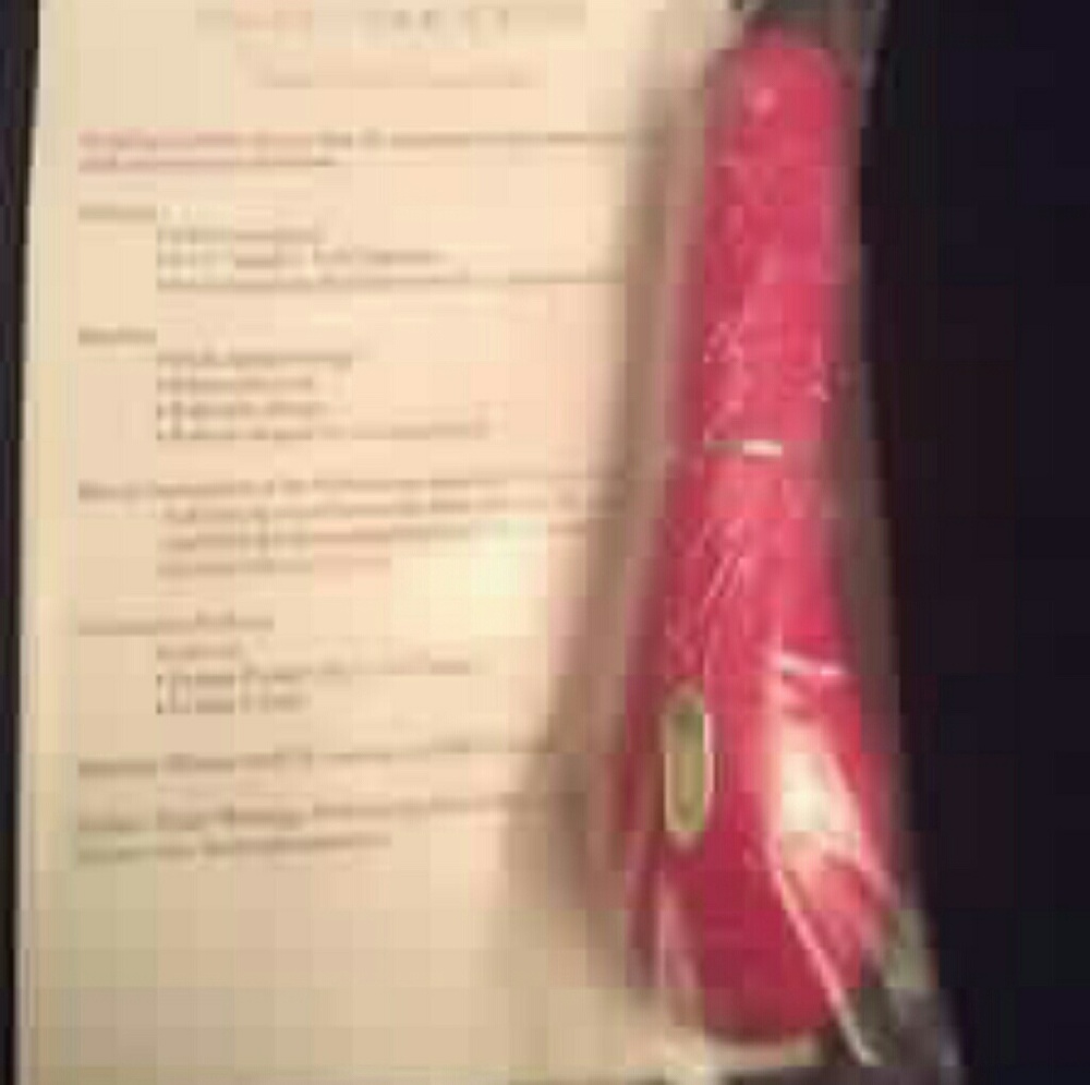 Sweet success fun bullet toy from passion parties