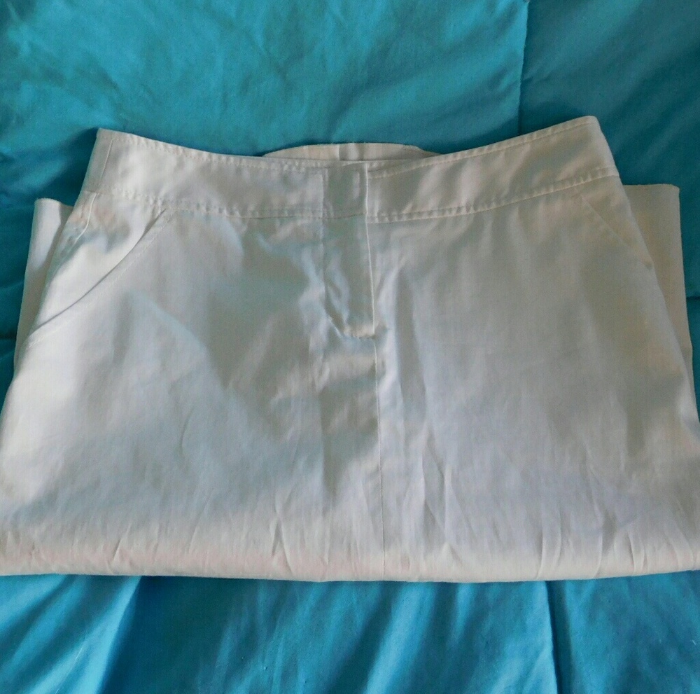 BCBG Pencil Skirt