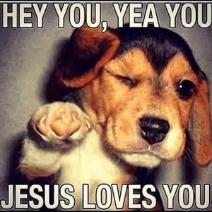 Meet your Posher, Gavin