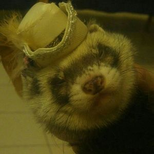 Meet your Posher, Emily