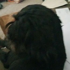 Meet your Posher, Diane