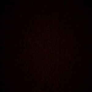 Meet your Posher, Dalton