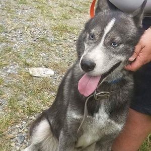 Meet your Posher, Larry