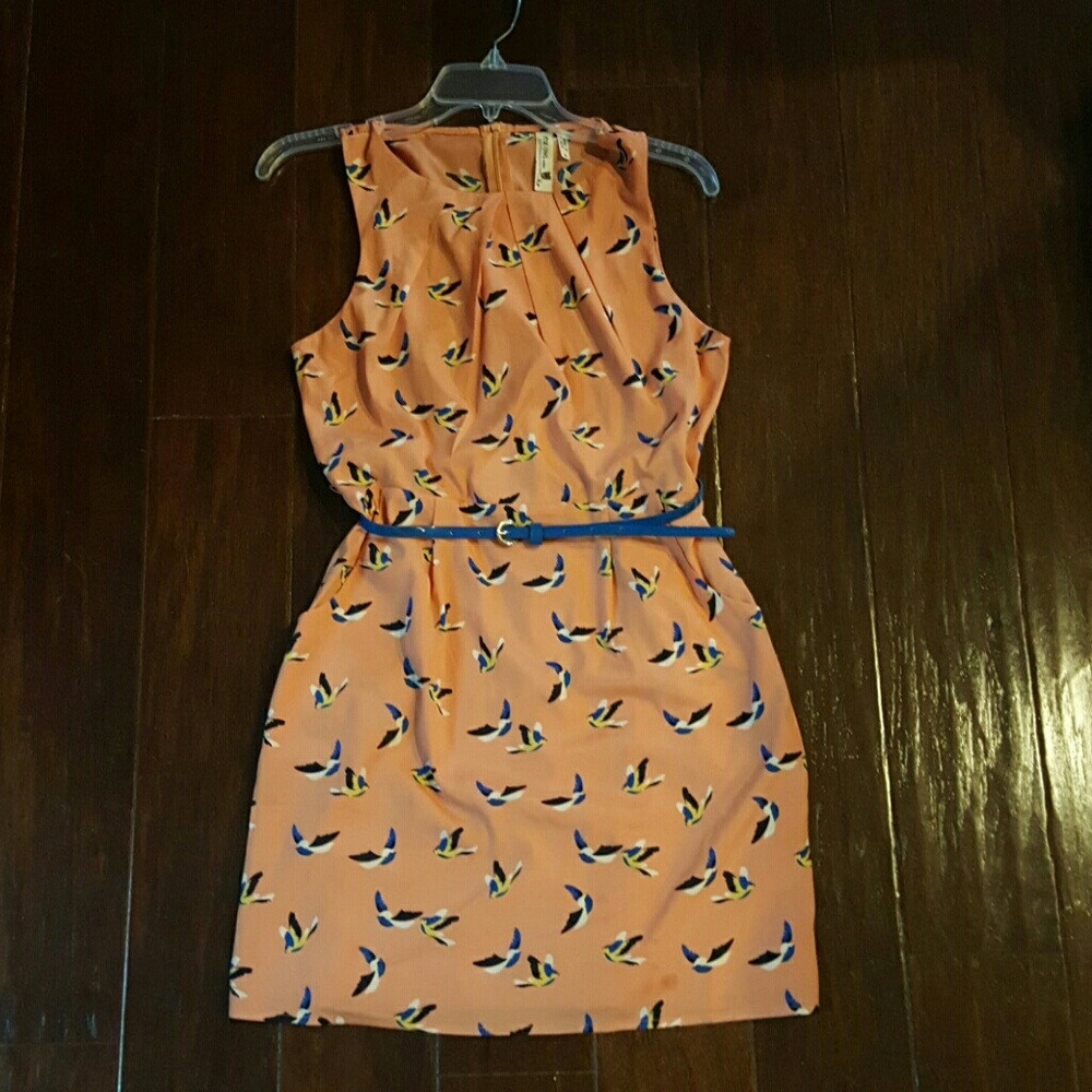 Adorable bird (by: pink owl) dress with pockets!