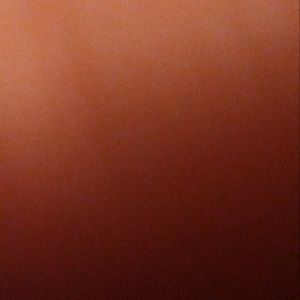 Meet your Posher, Shajuana