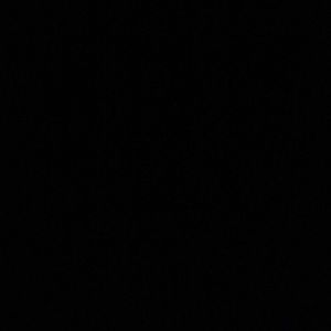 Meet your Posher, Julian