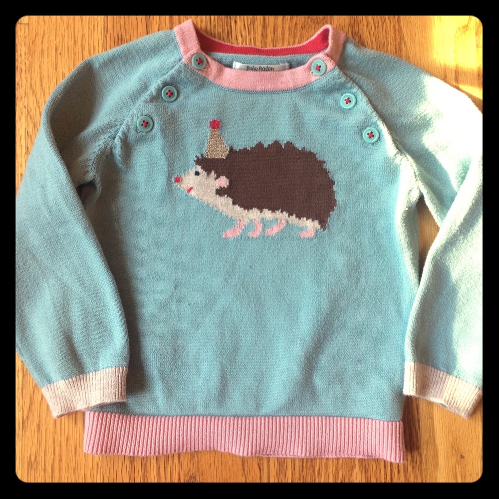 PRICE DROP!! 🎉Baby Boden hedgehog  sweater