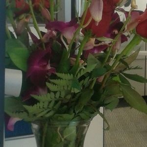 Meet your Posher, Erica