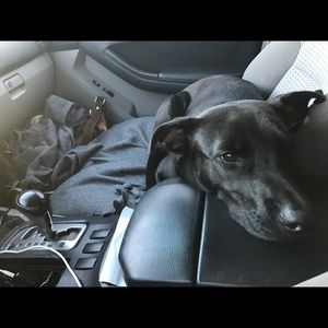 Meet your Posher, Kelsey