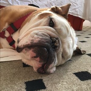 Meet your Posher, Mark