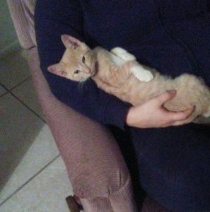 Meet your Posher, Alison