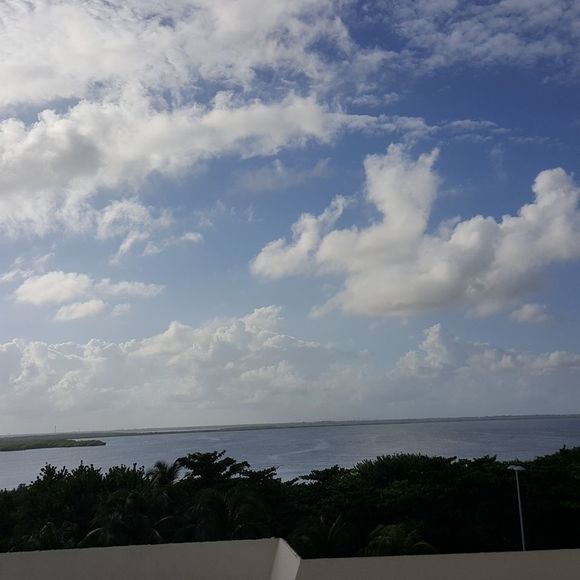 Meet your Posher, Kim - Picture 1 of 1