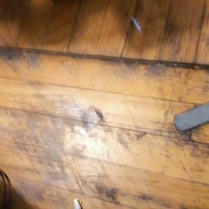 Meet your Posher, Vicky