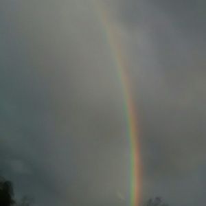 Meet your Posher, Lucy