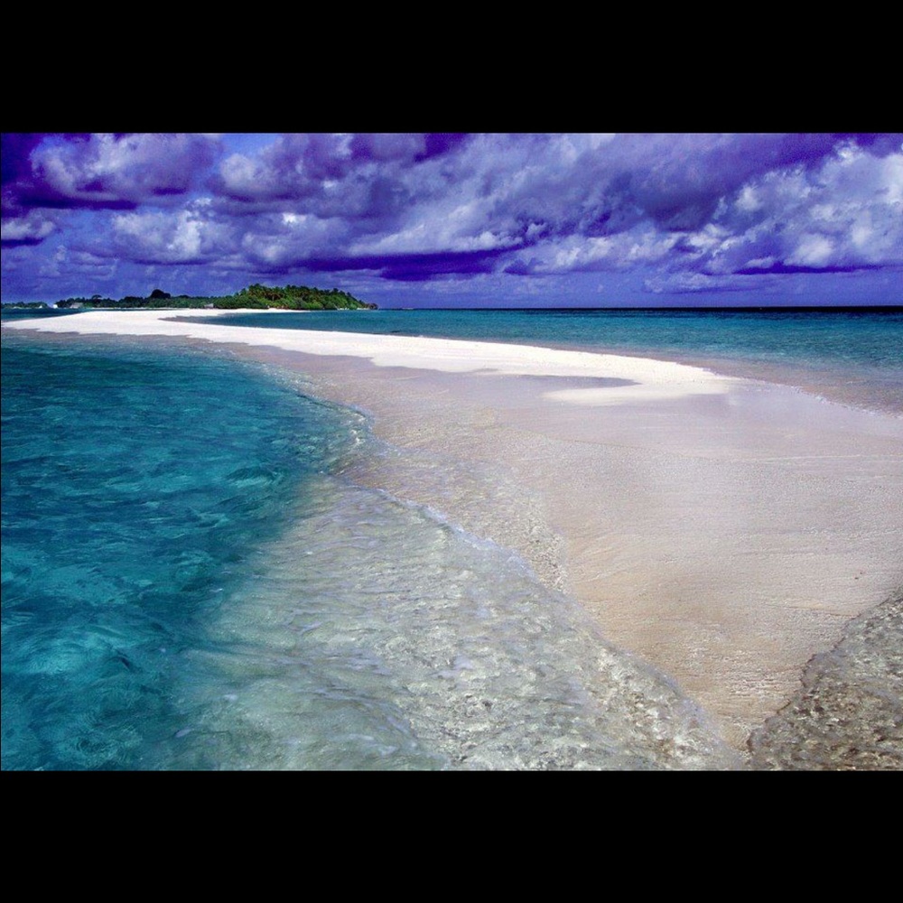 Meet your Posher, Andrew