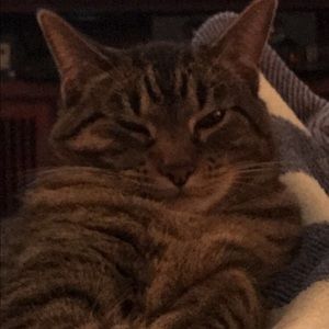 Meet your Posher, Dylan