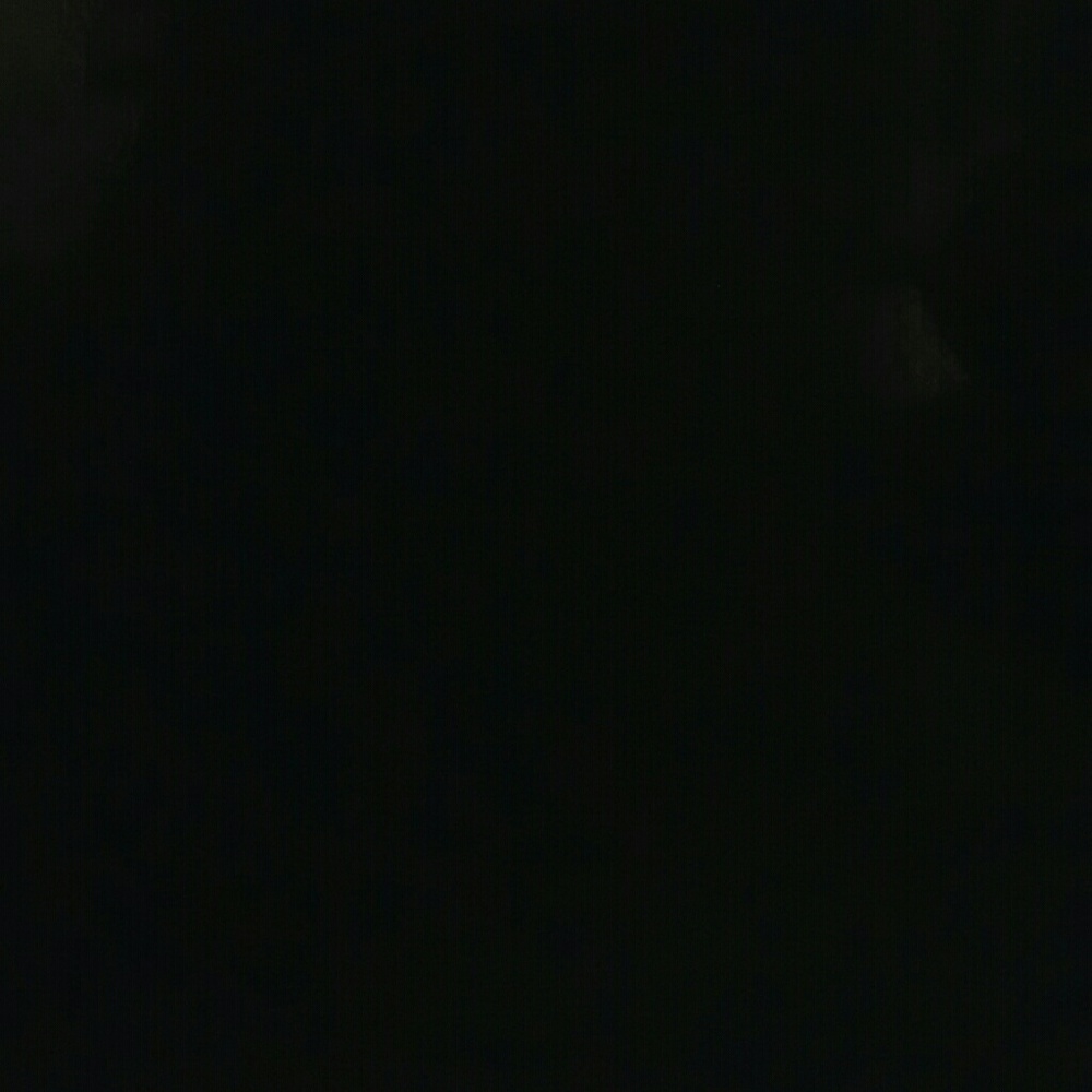 Meet your Posher, Daisy