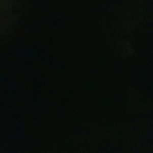 Meet your Posher, Daisy