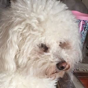 Meet your Posher, Georgene