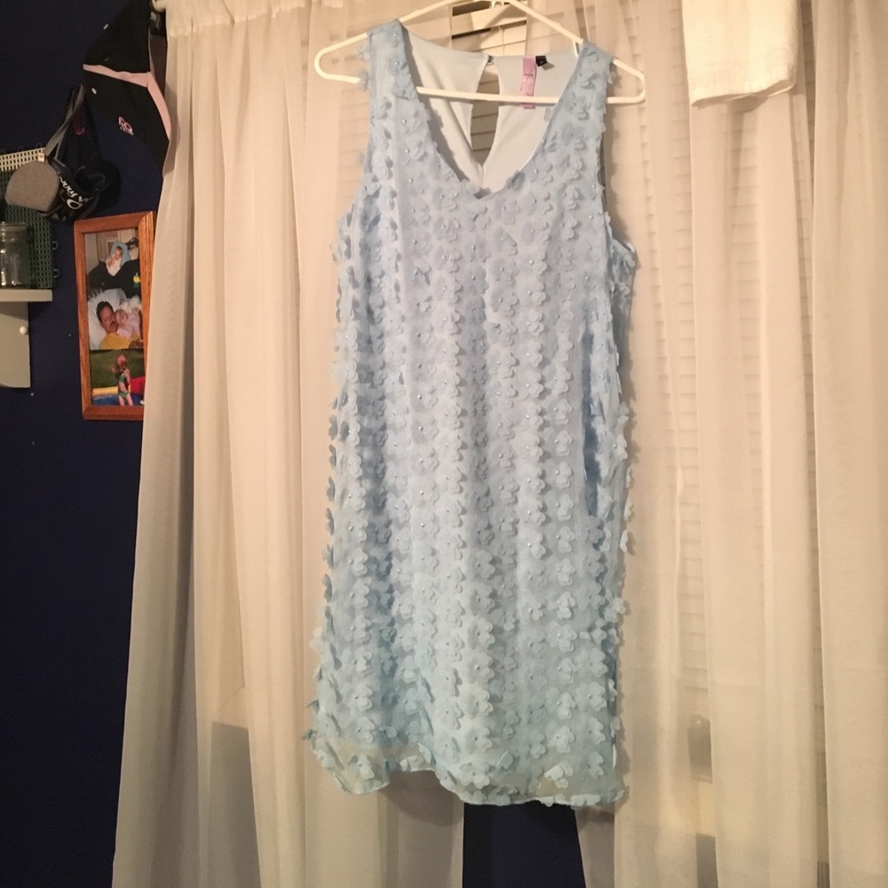 Alta (Francesca's Brand) dress