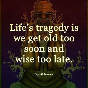 Meet your Posher, Mel