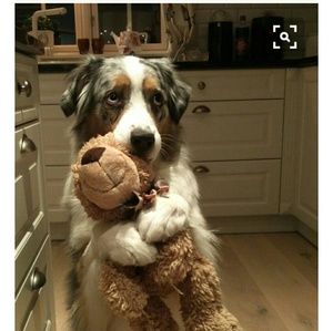 Meet your Posher, Mary