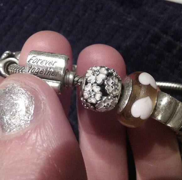 Beautiful Pandora Charms - Picture 1 of 1