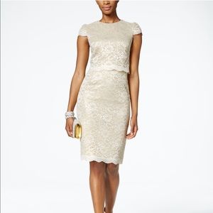 Betty Johnson Lace Popover Dress - brand new!