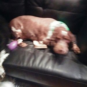 Meet your Posher, Julie