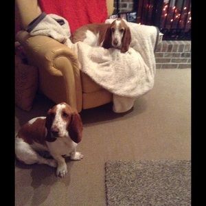 Meet your Posher, Christine