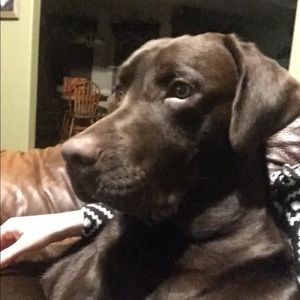 Meet your Posher, Renae