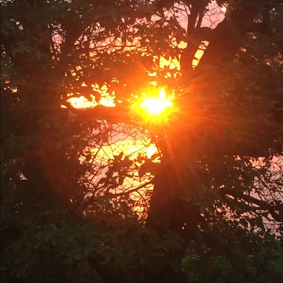 Meet your Posher, Shea - Picture 1 of 1