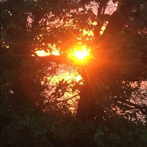 Meet your Posher, Shea