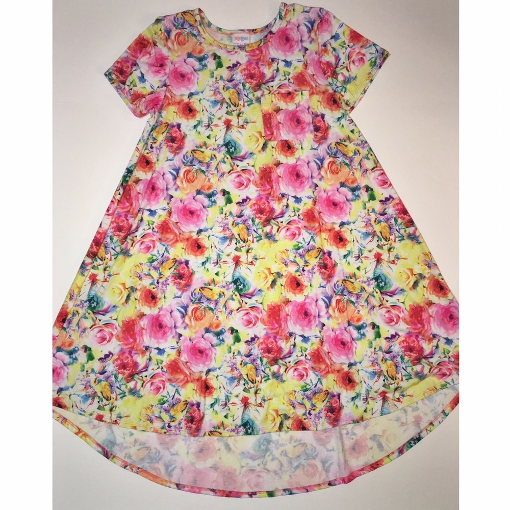 Lularoe XS Bird/ Floral Carly