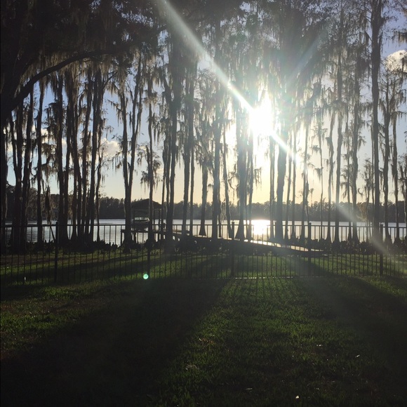 Meet your Posher, Molly - Picture 1 of 1