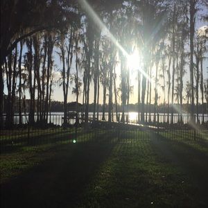 Meet your Posher, Molly