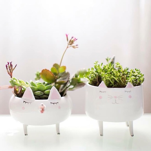 🍋Thank you all SO much for your cheers & support! - Picture 2 of 3