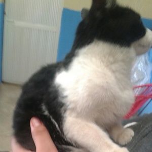 Meet your Posher, Natalie