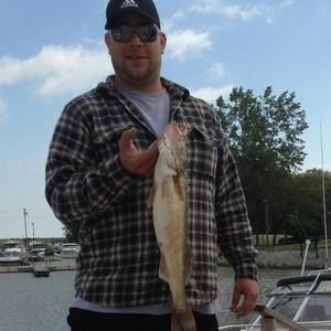 Meet your Posher, Paul