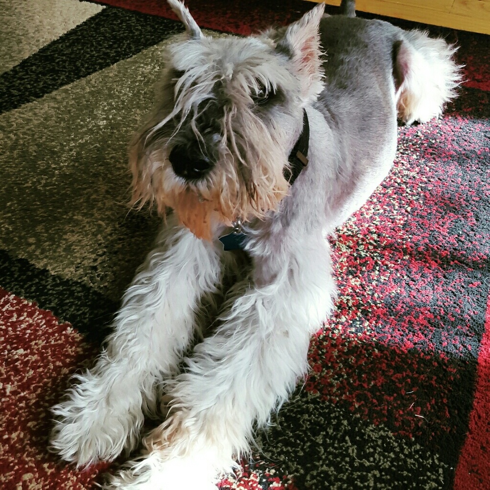 Meet your Posher, Kathy